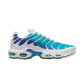 Nike Air Max Plus Aqua