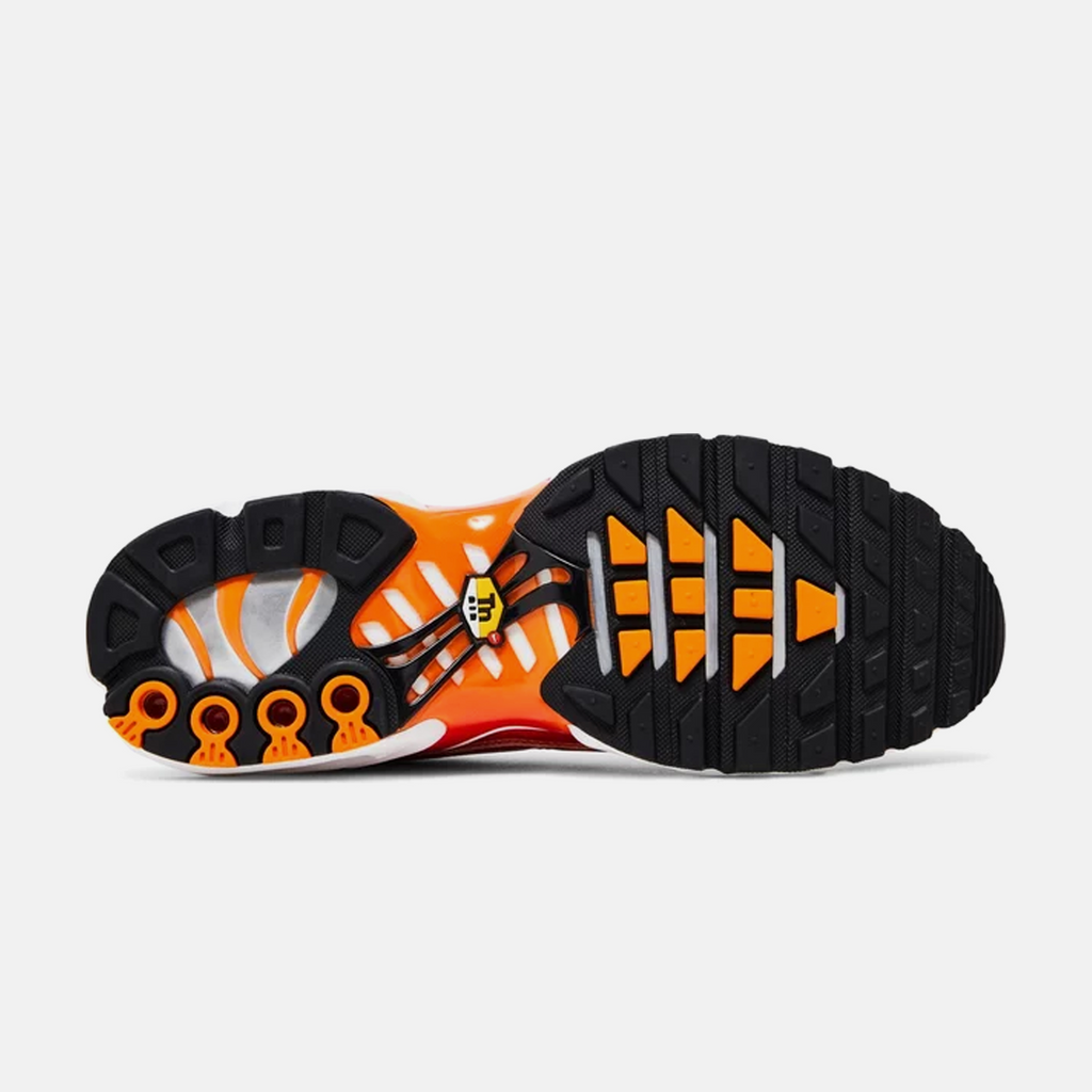 Nike Air Max Plus Light Photography