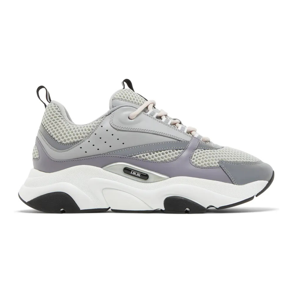Dior B22 Grey White