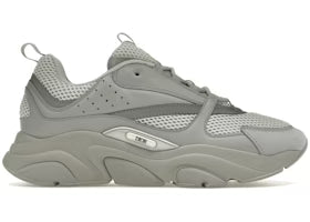 Dior B22 Grey White