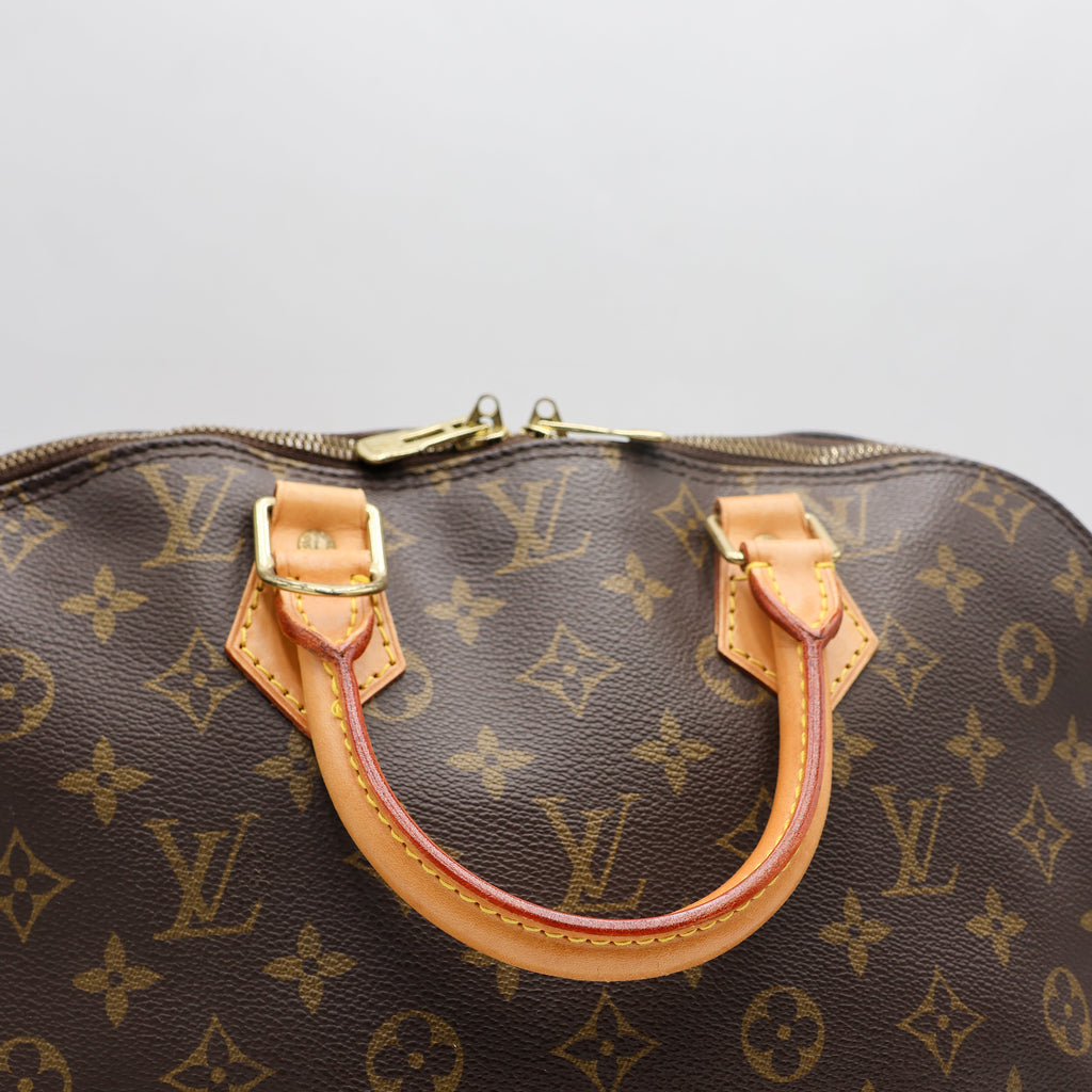 Louis Vuitton Sac à main Alma PM Monogram Marron