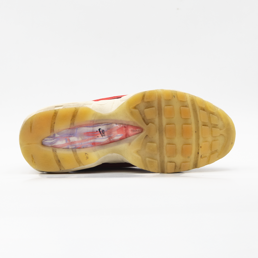 Nike Air Max 95 Anatomy of Air GID