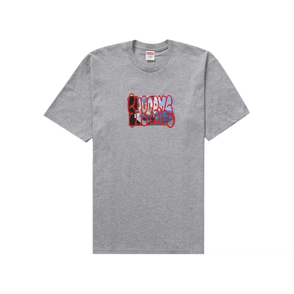 Supreme T-Shirt Paiement Gris